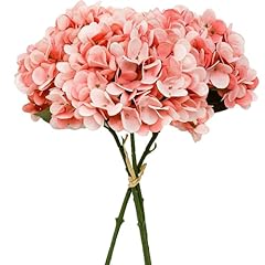 Mandy stems coral for sale  Delivered anywhere in USA 