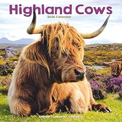 Highland cows 2026 for sale  Delivered anywhere in UK