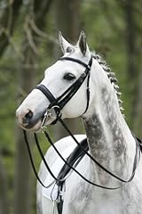 Stübben double bridle for sale  Delivered anywhere in Ireland