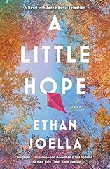 Little hope novel for sale  Delivered anywhere in USA 