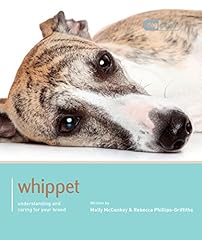 Whippet dog expert for sale  Delivered anywhere in UK