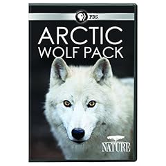 Nature arctic wolf for sale  Delivered anywhere in USA 