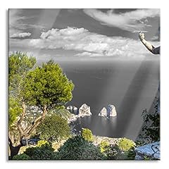 Pixxprint quadro vetro usato  Spedito ovunque in Italia 
