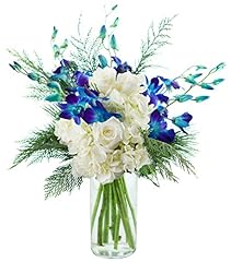 Kabloom flowers moonlight for sale  Delivered anywhere in USA 