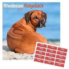 Rhodesian ridgeback calendar for sale  Delivered anywhere in UK