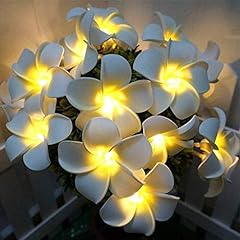 Fantasee plumeria string for sale  Delivered anywhere in USA 