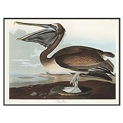 Pelican print antique for sale  Delivered anywhere in USA 