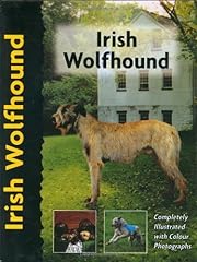 Irish wolfhound for sale  Delivered anywhere in UK