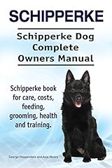 Schipperke. schipperke dog for sale  Delivered anywhere in UK