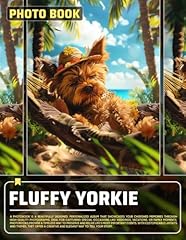 Fluffy yorkie photo for sale  Delivered anywhere in USA 