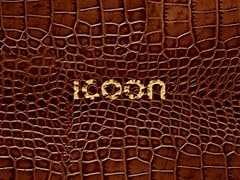 Icoon croco d'occasion  Livré partout en France