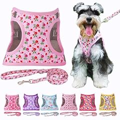 Moonpet step valentine for sale  Delivered anywhere in USA 