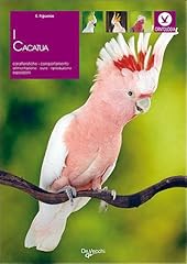 Cacatua usato  Spedito ovunque in Italia 