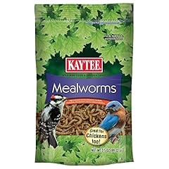 Kaytee wild bird for sale  Delivered anywhere in USA 