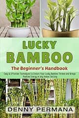 Ultimate lucky bamboo for sale  Delivered anywhere in UK