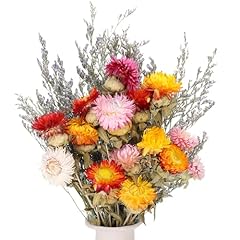 Xialvyu trockenblumenstrauß k gebraucht kaufen  Wird an jeden Ort in Deutschland
