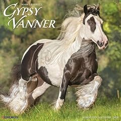 Gypsy vanner horse for sale  Delivered anywhere in USA 