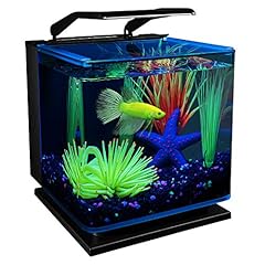 Glofish betta shadowbox for sale  Delivered anywhere in USA 