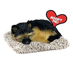 Perfect petzzz minis for sale  Delivered anywhere in USA 