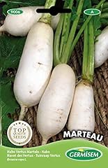 Germisem graines navet d'occasion  Livré partout en France