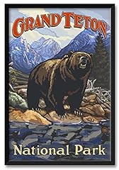 Grand teton national for sale  Delivered anywhere in USA 