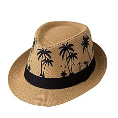 Queenbox palm tree for sale  Delivered anywhere in USA 