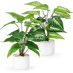 Cewor artificial plants for sale  Delivered anywhere in USA 