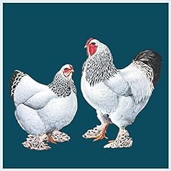 Notizbuch brahma hühner gebraucht kaufen  Wird an jeden Ort in Deutschland