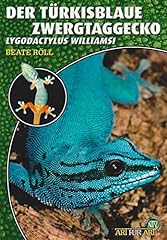 Türkisblaue zwergtaggecko lyg gebraucht kaufen  Wird an jeden Ort in Deutschland
