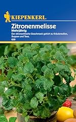 Kiepenkerl zitronenmelissesame gebraucht kaufen  Wird an jeden Ort in Deutschland