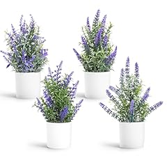 Coferset lavender flowers for sale  Delivered anywhere in USA 