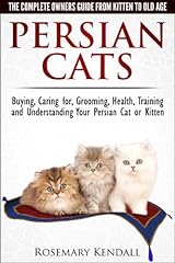 Persian cats complete for sale  Delivered anywhere in UK