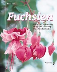 Fuchsien gebraucht kaufen  Wird an jeden Ort in Deutschland