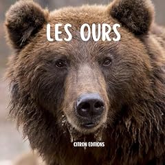 ours burberry d'occasion  Livré partout en France
