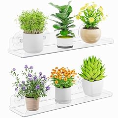 Lifewit window plant for sale  Delivered anywhere in USA 
