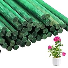 Almineez 50pcs green for sale  Delivered anywhere in UK