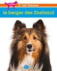 Berger shetland berger d'occasion  Livré partout en France