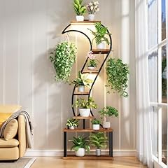 Wiwidrm large plant for sale  Delivered anywhere in USA 