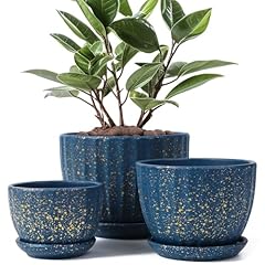 Sthie ceramic plant for sale  Delivered anywhere in USA 