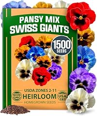 Home grown pansy for sale  Delivered anywhere in USA 