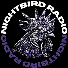 Nightbird radio usato  Spedito ovunque in Italia 