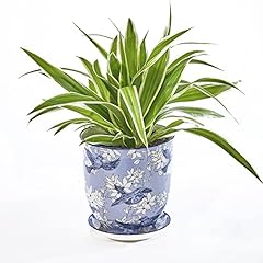 Chive liberte ceramic for sale  Delivered anywhere in USA 