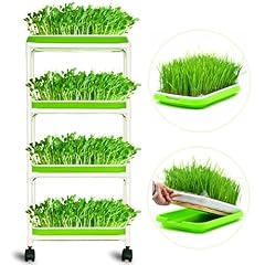 Layers sprout trays for sale  Delivered anywhere in USA 