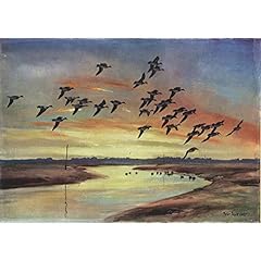 Widgeon creek sir for sale  Delivered anywhere in UK