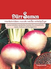 Herbstrüben runde weiße gebraucht kaufen  Wird an jeden Ort in Deutschland