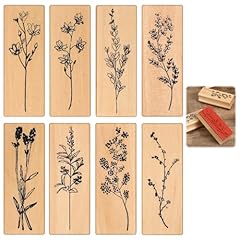 Molain flower plant for sale  Delivered anywhere in USA 