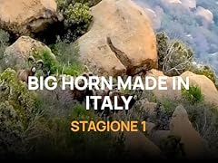Big horn made usato  Spedito ovunque in Italia 