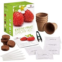 Exotic fruit seed for sale  Delivered anywhere in UK