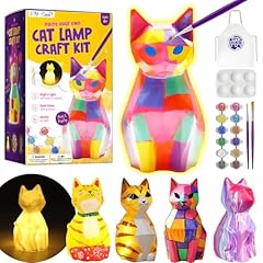 Diy laoese kit usato  Spedito ovunque in Italia 