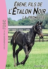 étalon noir ébène for sale  Delivered anywhere in UK